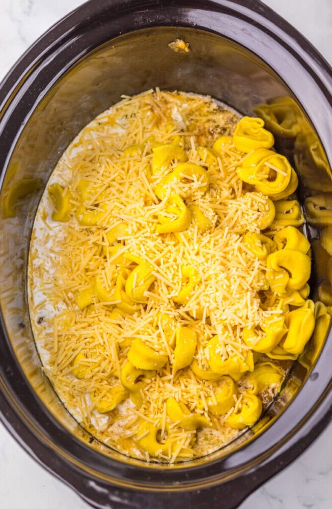 Delicious cheesy yellow pasta with shredded cheese and pasta shells in a slow cooker. Perfect comfor.