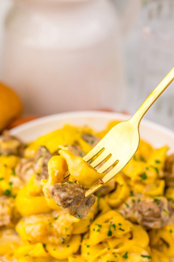 Delicious creamy beef and pasta dish with herbs, served hot.