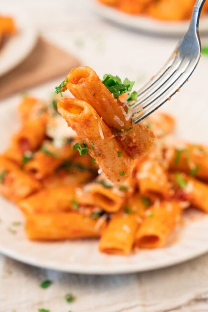 Close-up of creamy tomato pasta with herbs on a fork.