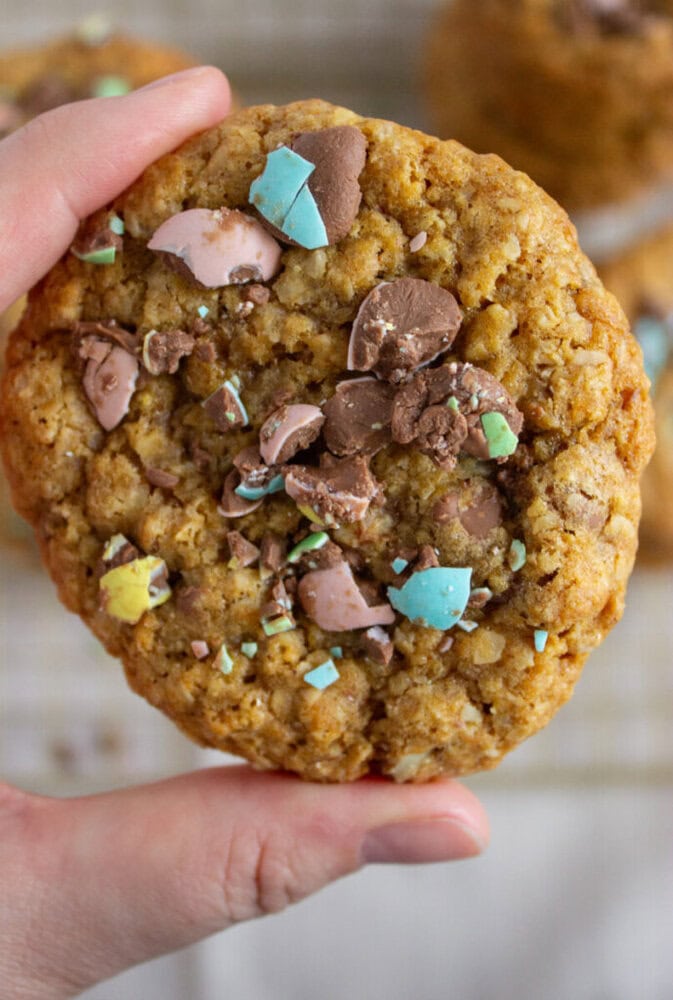 Delicious homemade chocolate chip cookie topped with colorful candy pieces and chocolate chunks. Per.