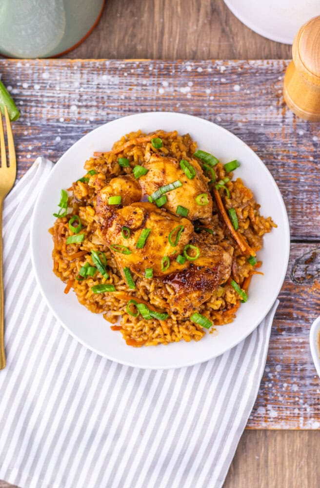Japanese BBQ Chicken and Rice