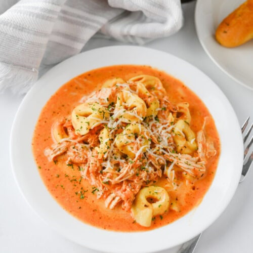 Crock Pot Chicken Tortellini in creamy red sauce topped with shredded chicken and parmesan cheese