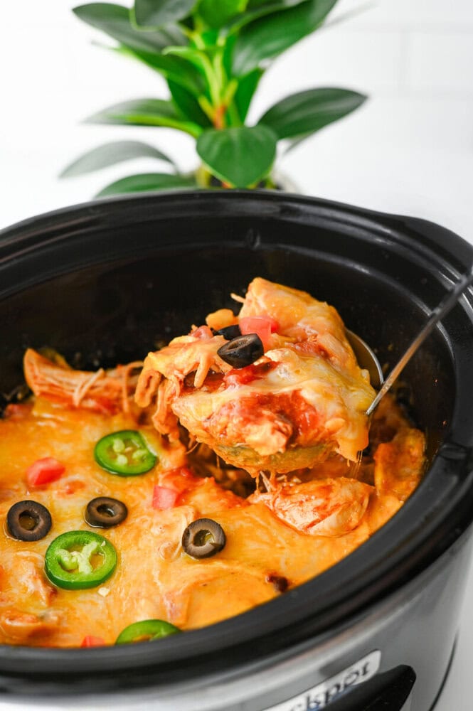 Crockpot enchiladas with creamy orange sauce, black olives, and jalapeño toppings in slow cooker