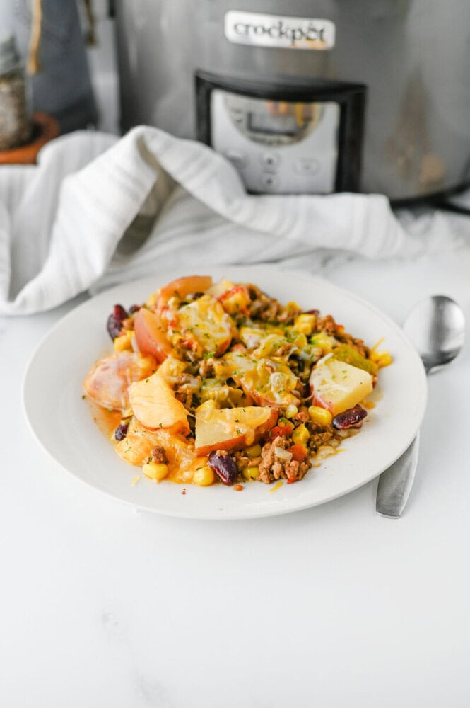 Colorful vegetable and ground meat stew served on a white plate.
