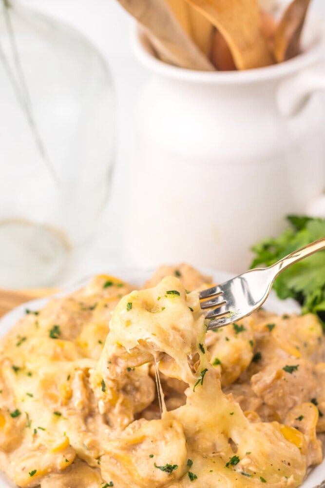 Creamy chicken and mashed potatoes with herbs on a plate.