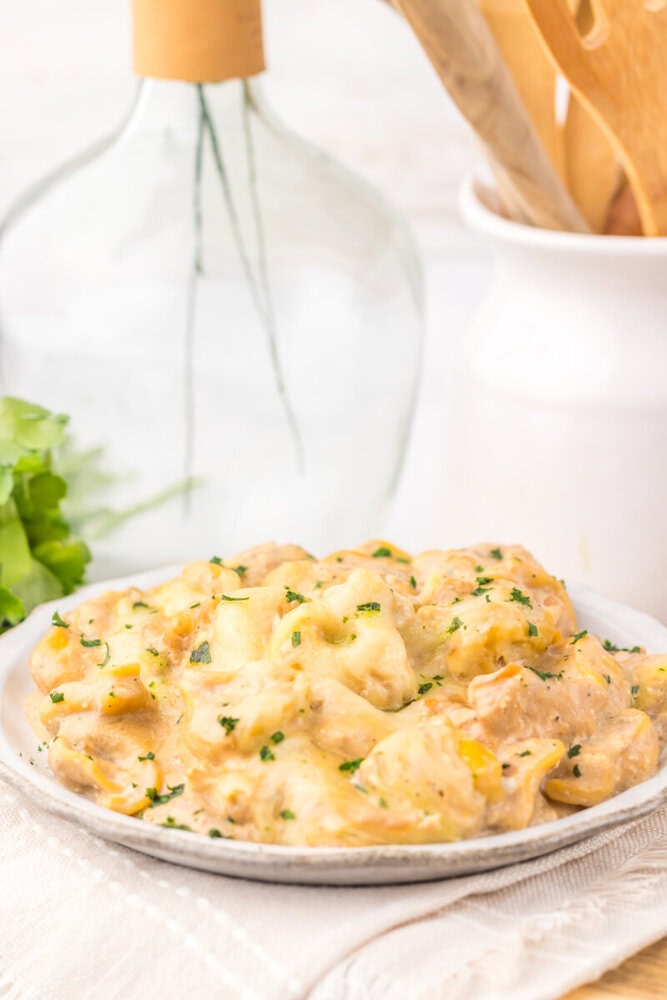 Creamy chicken and potato casserole garnished with herbs on a white plate.